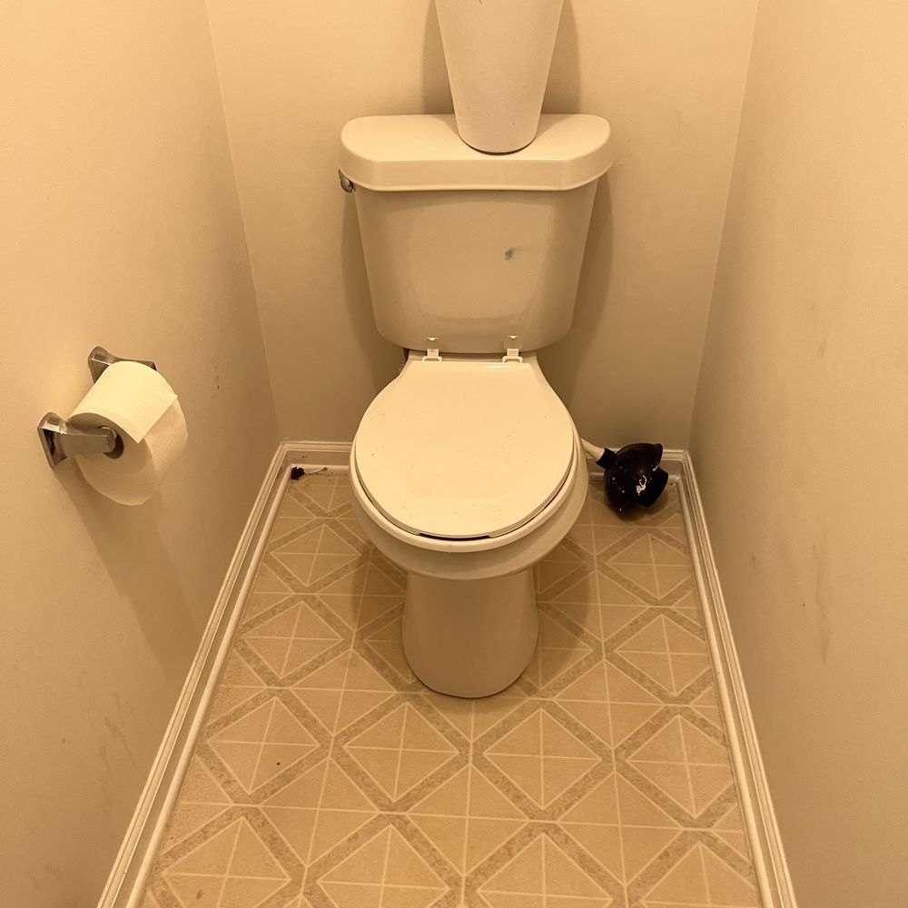 Older cream-colored toilet in a narrow half bath